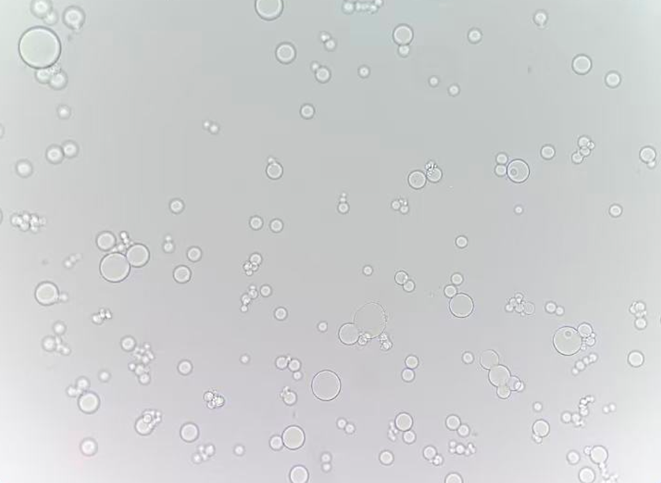 乳化法制备 AG 微球